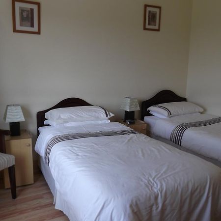 Ashley Lodge Bed & Breakfast Rosslare Harbour Extérieur photo