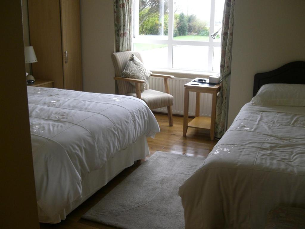 Ashley Lodge Bed & Breakfast Rosslare Harbour Extérieur photo