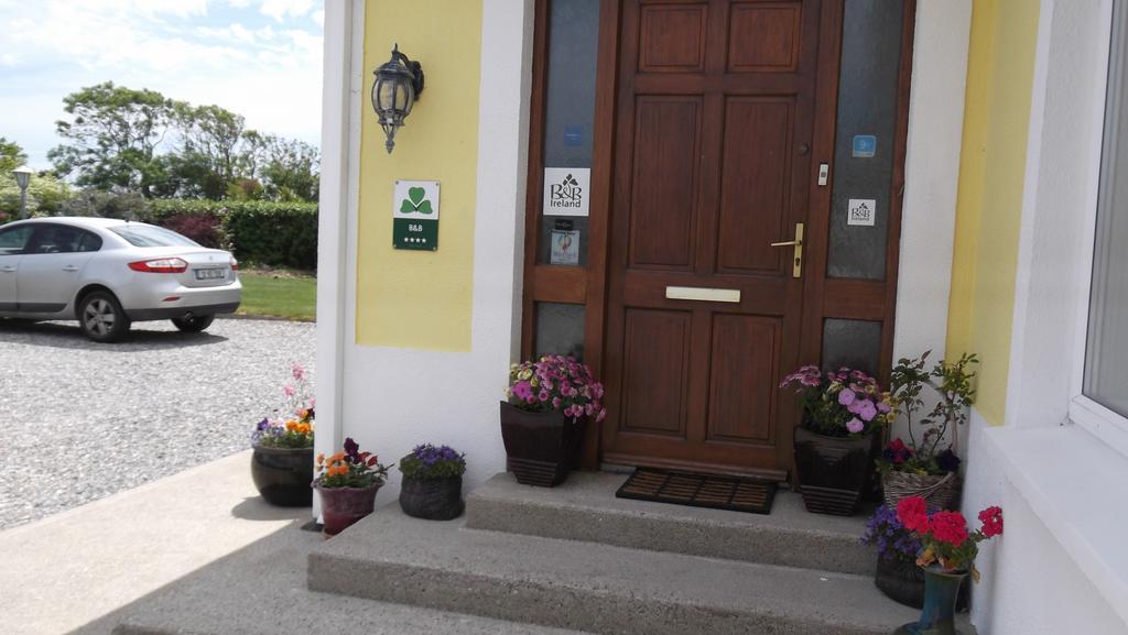 Ashley Lodge Bed & Breakfast Rosslare Harbour Extérieur photo