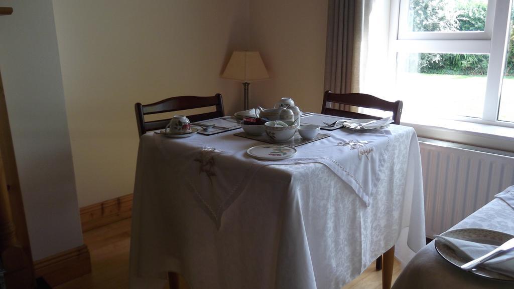 Ashley Lodge Bed & Breakfast Rosslare Harbour Extérieur photo