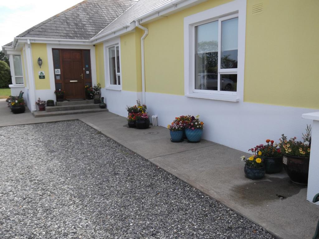 Ashley Lodge Bed & Breakfast Rosslare Harbour Extérieur photo