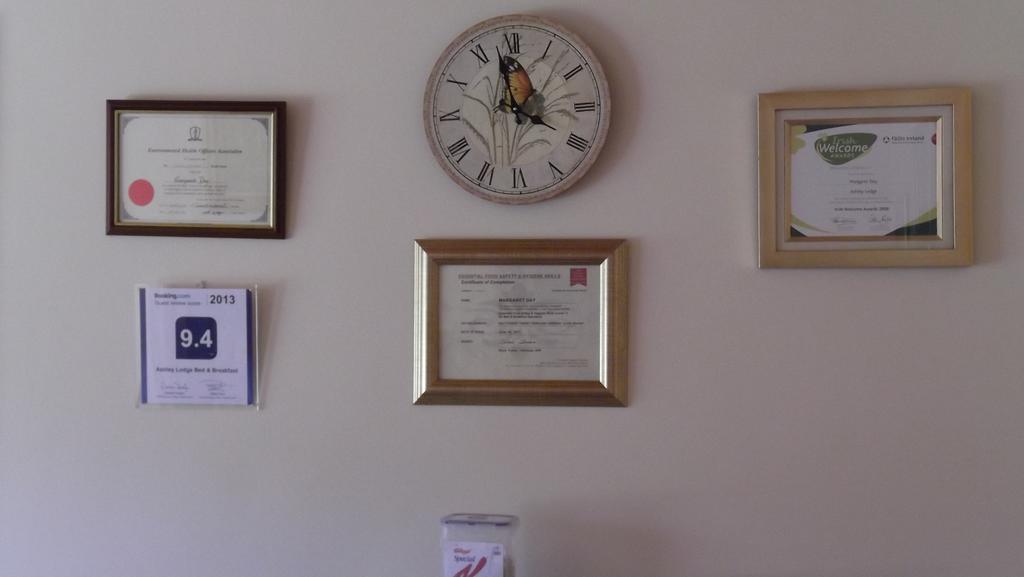 Ashley Lodge Bed & Breakfast Rosslare Harbour Extérieur photo